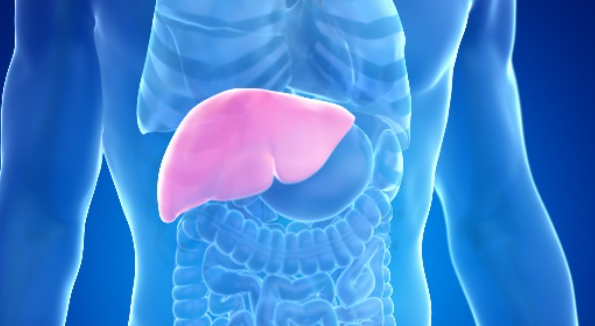 Những thực phẩm giúp gan ‘phục hồi’ tự nhiên